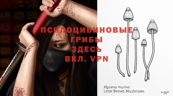 скорость Аркадак