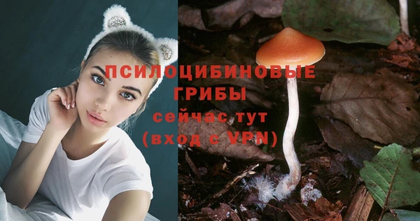 трава Баксан