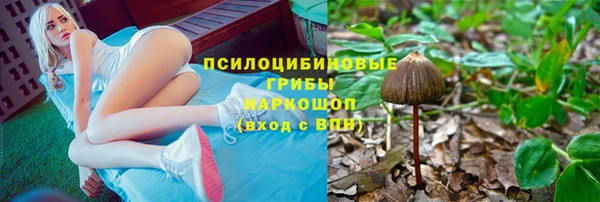 трава Баксан